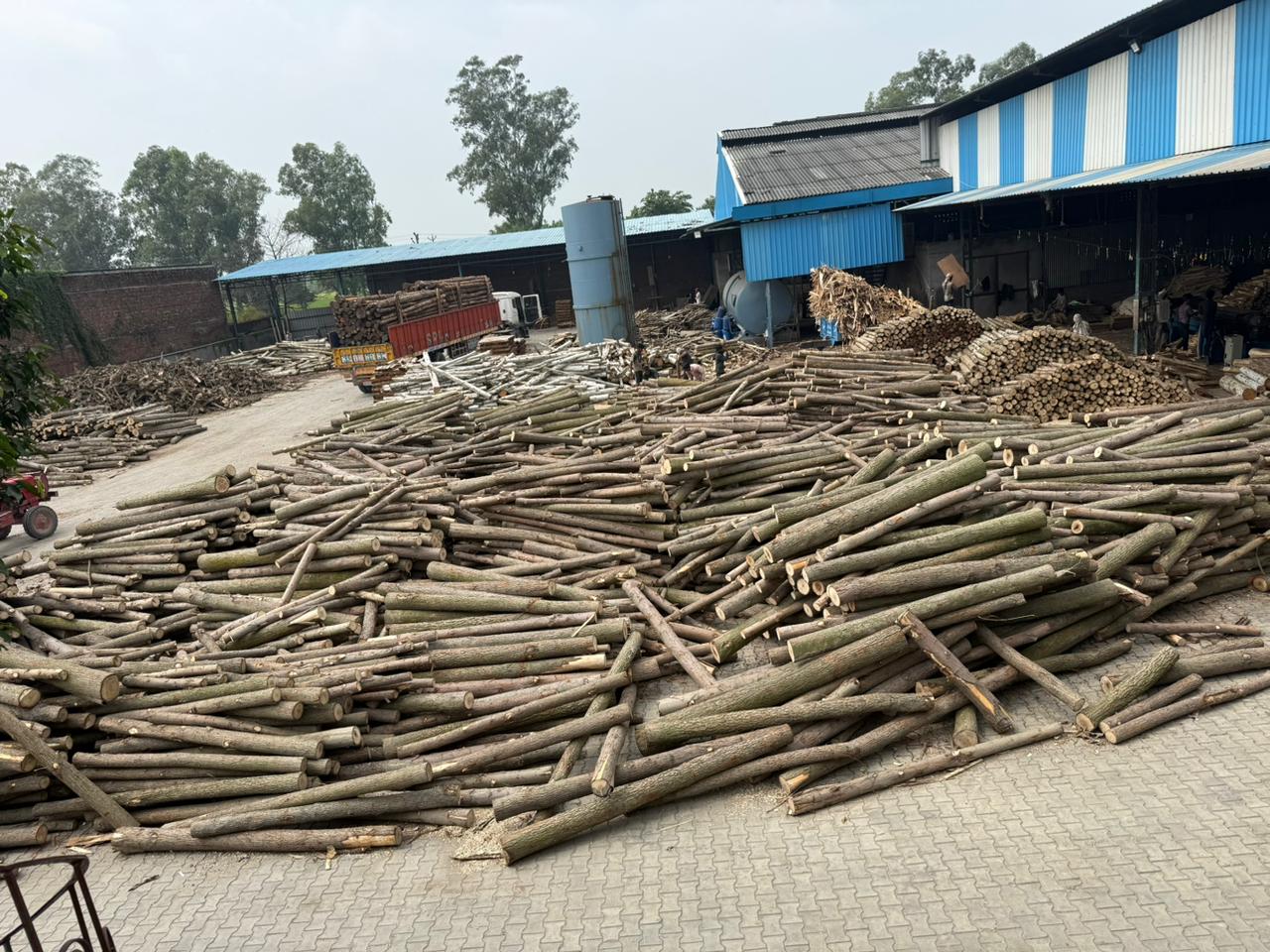 Timber used in our product range